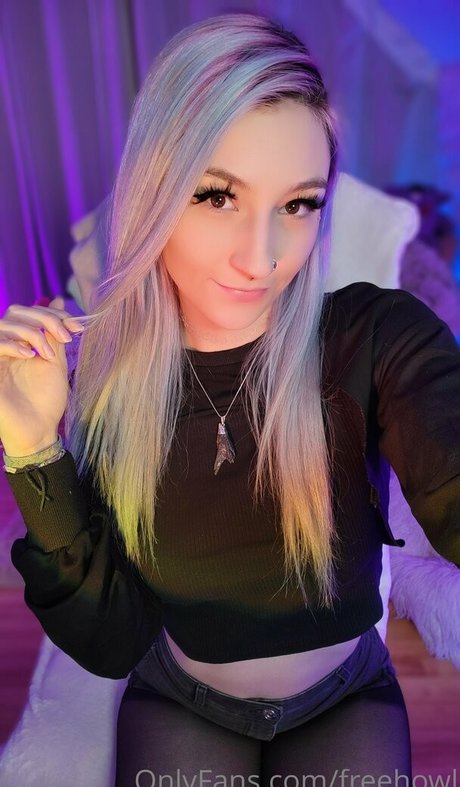 freehowl アートスター 写真