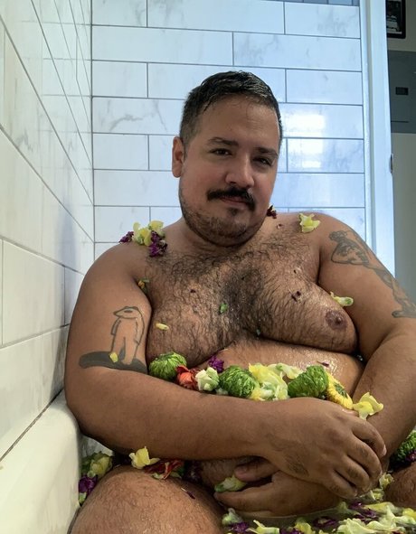 chub t 完璧なスター 写真