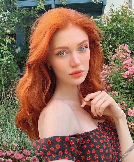 Angelina Michelle ポルノスター xxx 写真