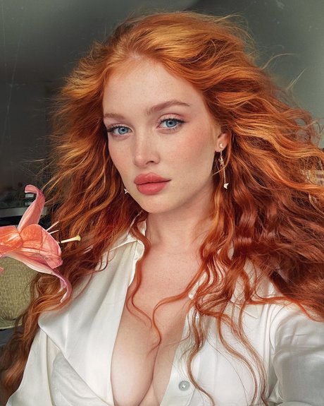 Angelina Michelle 完璧なポルノスター 画像