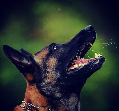 マッサージセラピストオンリーファンズ アート裸 画像