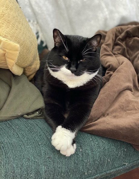 somelittlecrumbs ポルノスター 無料 写真