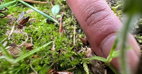 アナルファックオンリーファンズ 無料エロ 画像