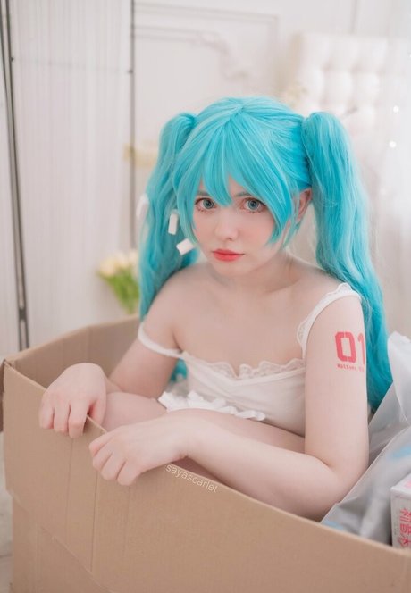 Saya Scarlet HDモデル 写真