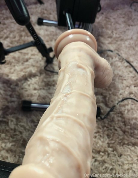 avaexotic vip 無料モデル 写真
