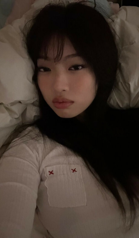 Yujin HDモデル 写真