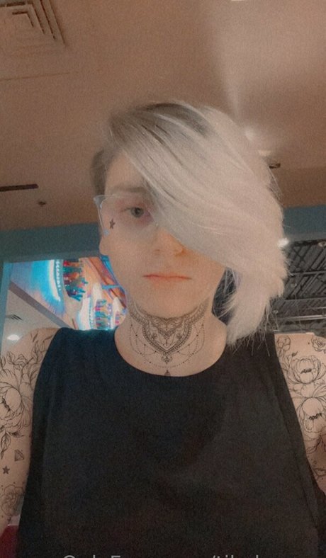 tikalovexo 美しいスター ギャラリー