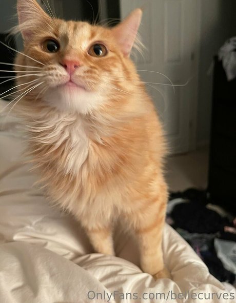 ナースオンリーファンズ 無料エロ 写真