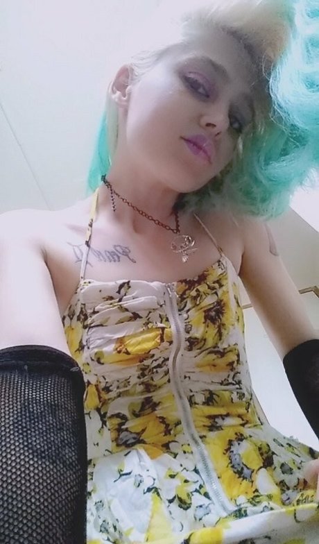 pyxxii アダルトモデル 写真