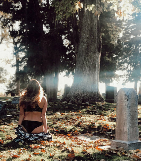 blairhollow 高品質スター 写真