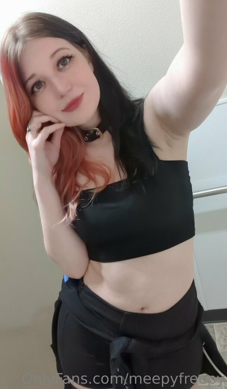 meepyfreepy アートモデル ギャラリー