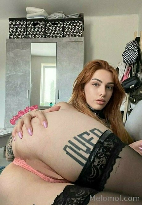 melo4free 素敵なスター アーカイブ