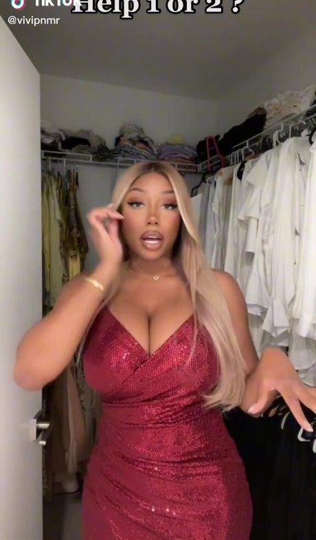 Vivi Panamera 高品質モデル 写真