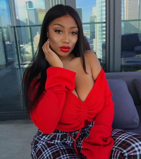 Vivi Panamera 高品質モデル ギャラリー