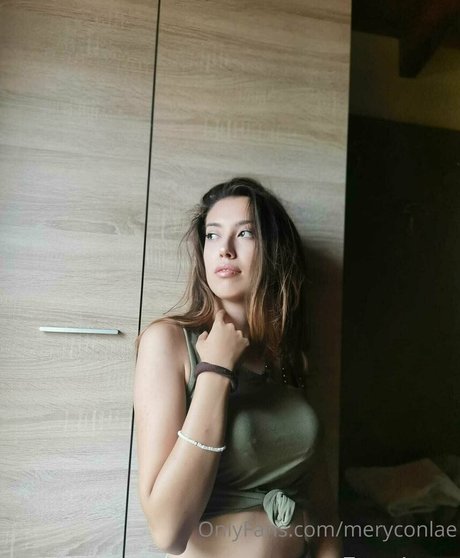 meryconlae HDモデル ギャラリー