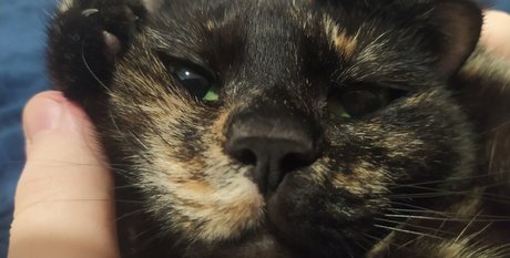 足 マンコ オンリーファンズ 美しいヌード アーカイブ