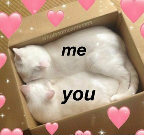 ランジェリーヌードオンリーファンズ トップ 画像