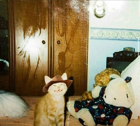 赤毛のPOV オンリーファンズ 無料ポルノ 画像