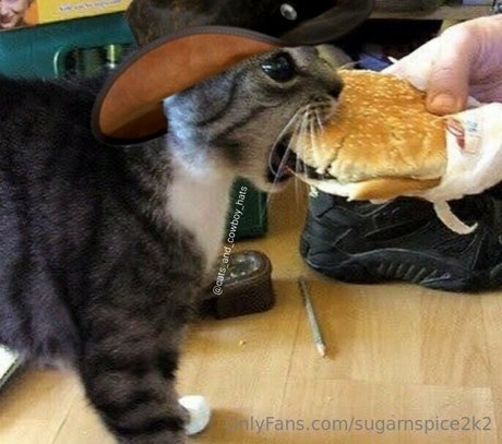 smoll n sweet 2k2 HDポルノスター 写真