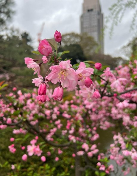 老母オンリーファン アートxxx 画像