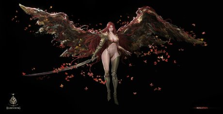 Elden Ring 美しいスター 写真