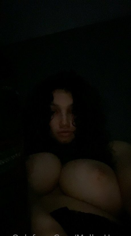 mellyshours 最高のポルノスター 画像