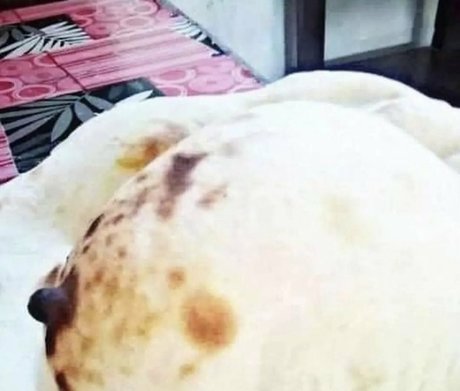 elitebbwplus ポルノスター セクシー 写真