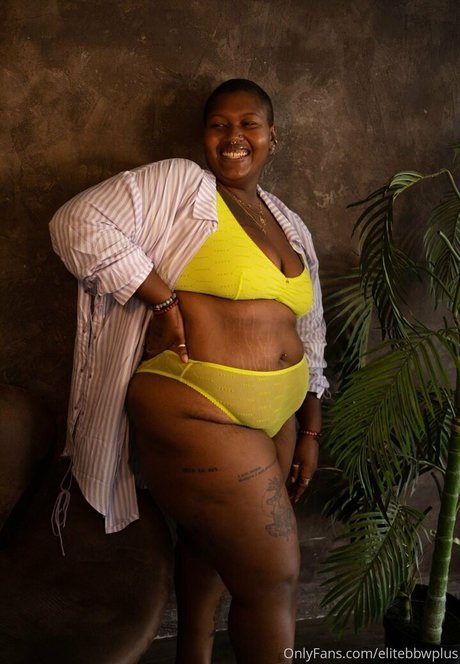 elitebbwplus アートポルノスター アーカイブ