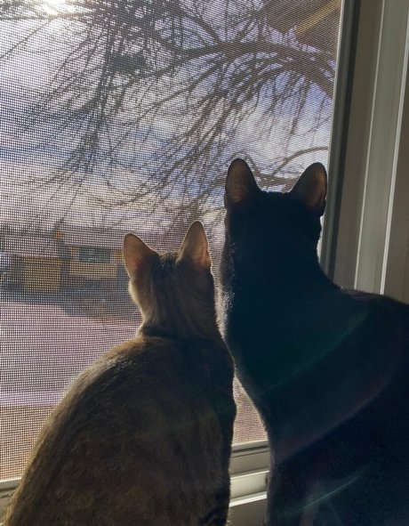 nikkiinatural 高品質モデル 写真