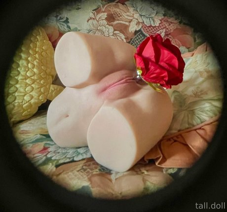 tall doll 独占スター 画像