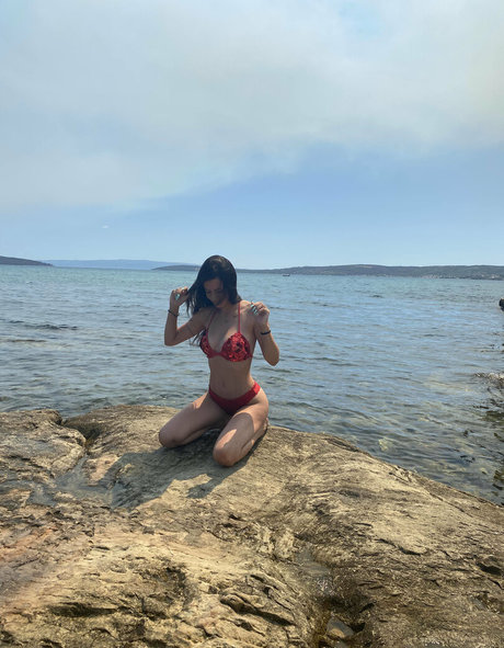 獣医オンリーファンズ パーフェクト 画像