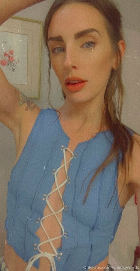 whimsywords 無料のスター 写真