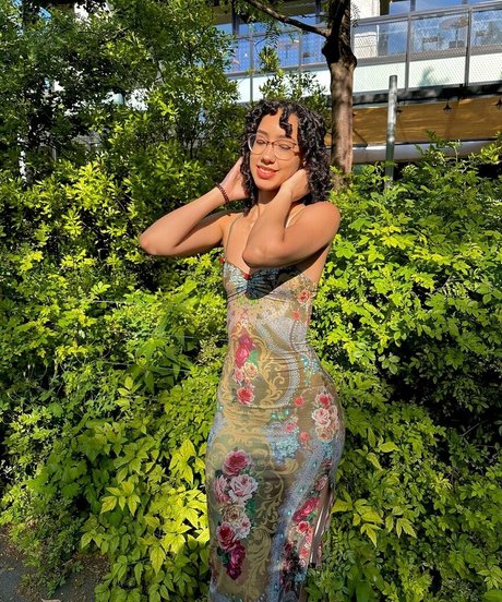 ewmxt HDスター ギャラリー