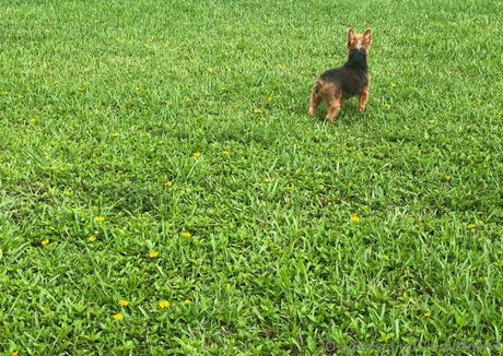 熟女の足オンリーファンズ 無料xxx アーカイブ