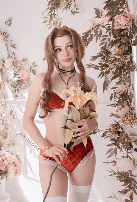 Alcololi トップスター 写真