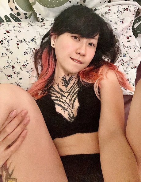 blackfaune HDモデル 画像