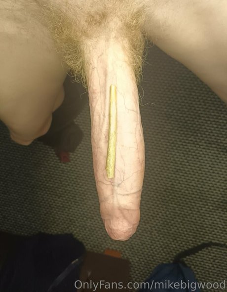 mikebigwood HDモデル 画像