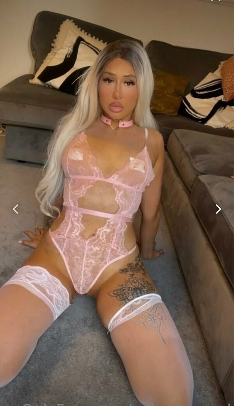 mikebigwood 高品質のスター 写真