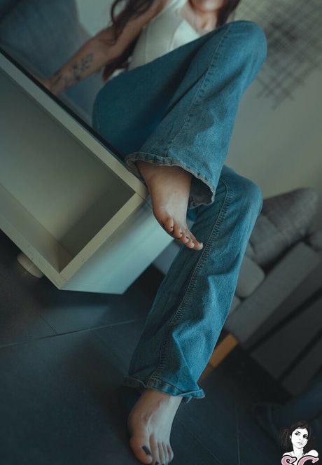 Kamikasered 美しいスター 画像