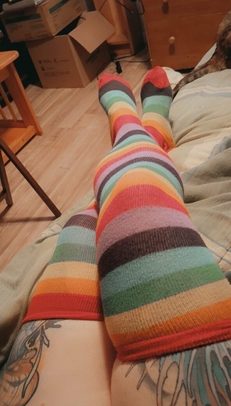 gingerkat420free ホットスター 画像