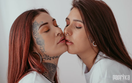 ブルネットのPOV オンリーファンズ ポルノ 写真