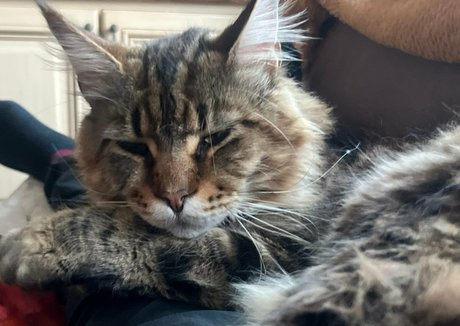 ゲイディルドオンリーファンズ アートヌード 写真