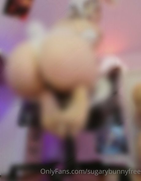 sugarybunnyfree セクシー女優 画像
