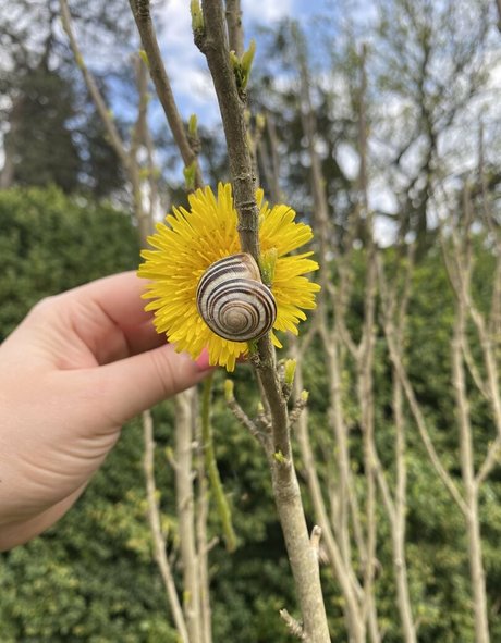 アラブ人妻オンリーファンズ アートヌード 画像