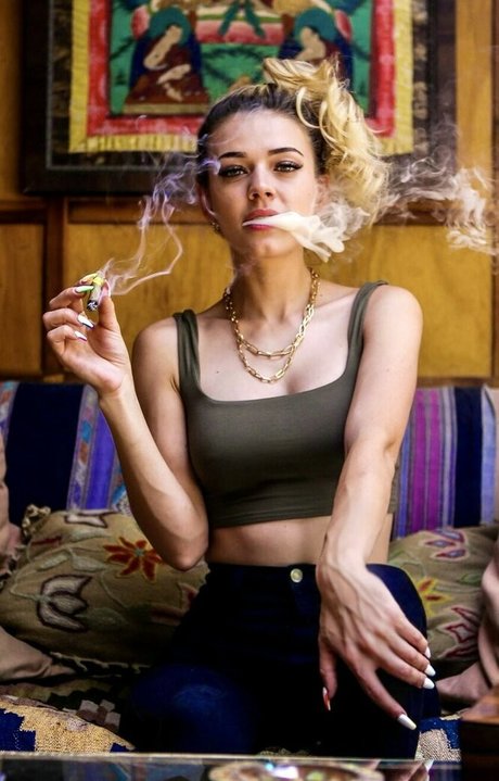 Koala Puffs トップ女優 画像