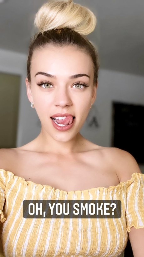 Koala Puffs アートモデル 画像