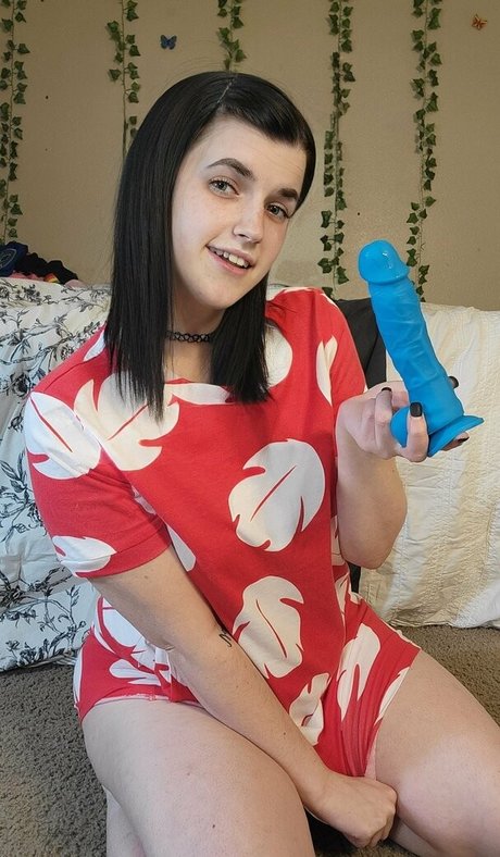 blisscatalog 完璧なスター 写真