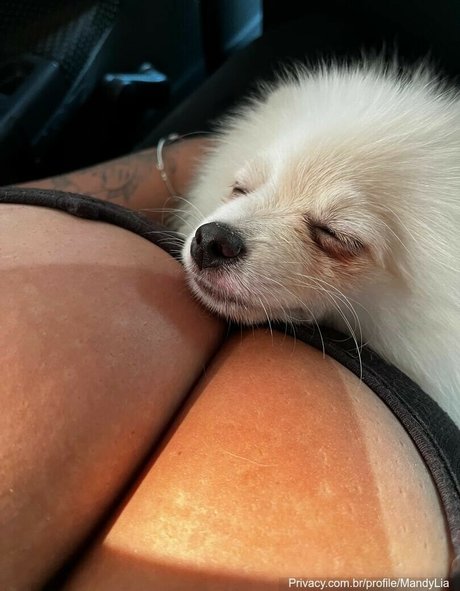 MandyLia 最高のスター 写真