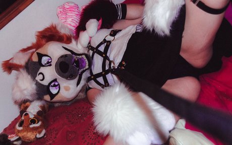 Murrsuit ポルノ女優 アーカイブ