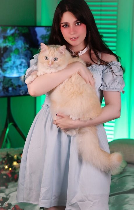 カウガール POV オンリーファンズ アートポルノ 写真